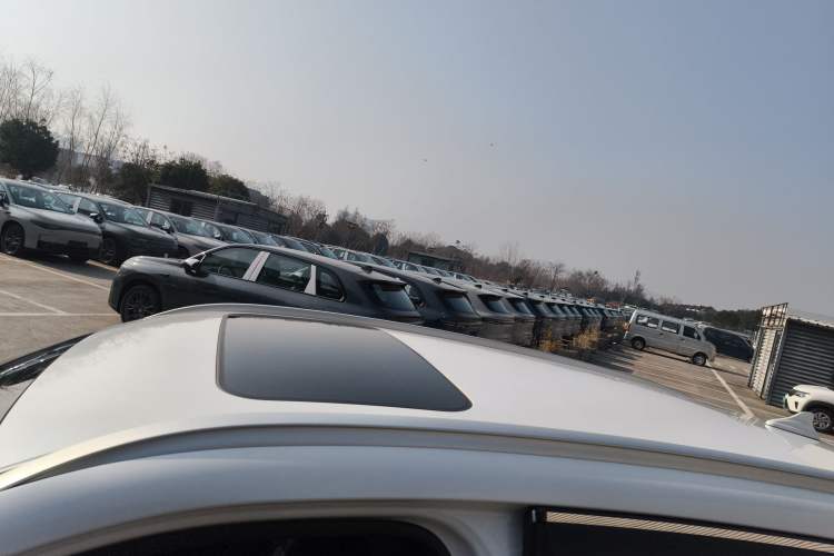 Used Haval H6 2023 National Trend Edition 1.5T Automatic Urban Version