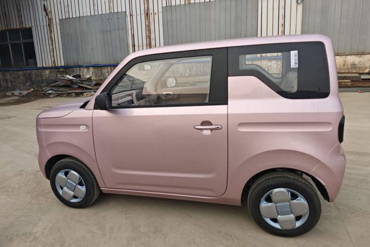 Used  Panda 2024 Panda Mini 200km Endurance Bear