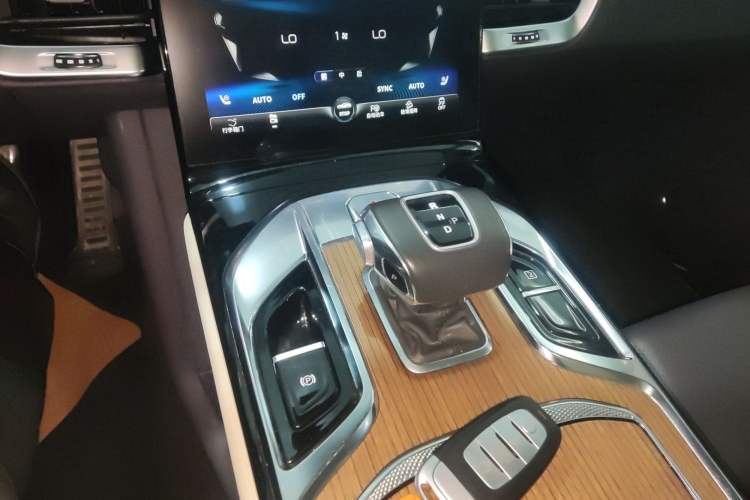 Used Hongqi E-HS9 2021 460 km Range Flagship Edition Six-Seater