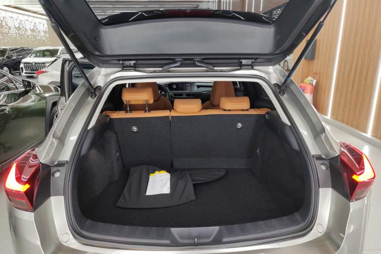 Used Lexus UX New Energy 2020 300e Pure·Joy Edition
