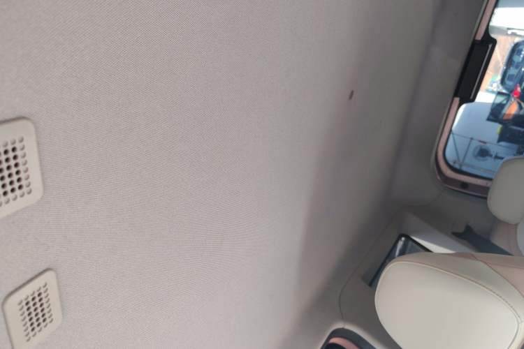 Used  Panda 2023 Panda Mini 200km Endurance Bear