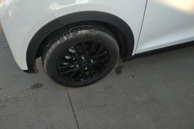 Used Chery Little Ant 2024 251km True Love Edition