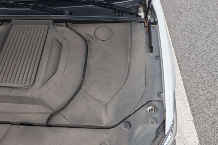 Used BYD Qin PLUS 2023 Champion Edition EV 510KM Leading Model
