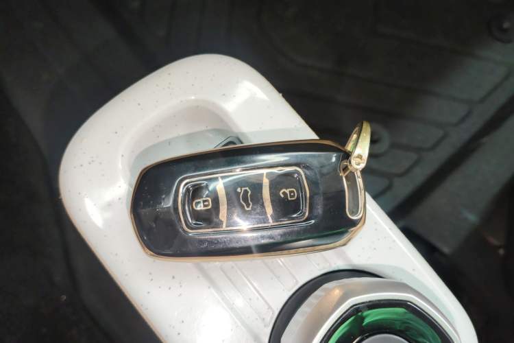 Used  Panda 2023 Panda Mini 200km Endurance Bear
