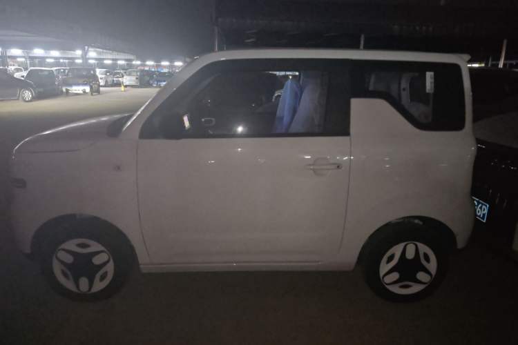 Used  Panda 2025 210 km – Yuanqi Bear
