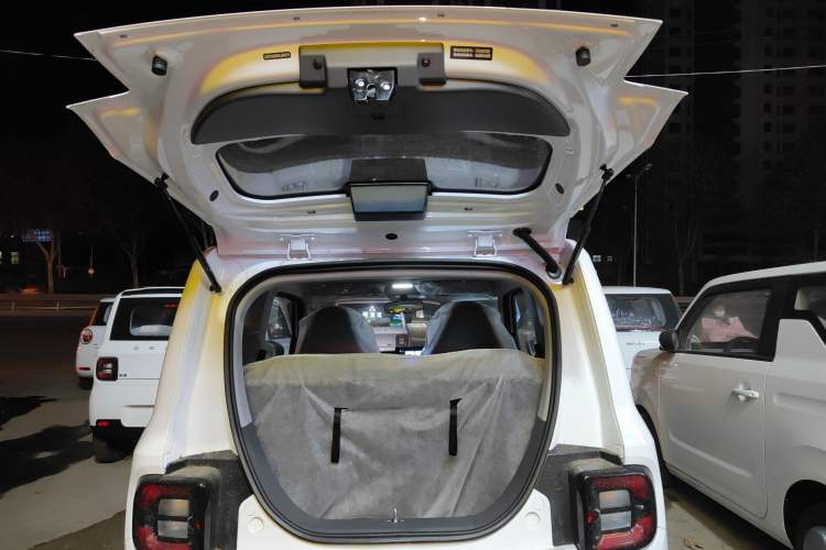 Used  Panda 2024 Panda Mini 200km Endurance Bear
