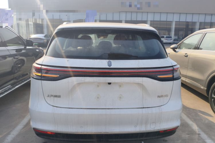 Used Hima H5 2025 Model Pure Electric Max