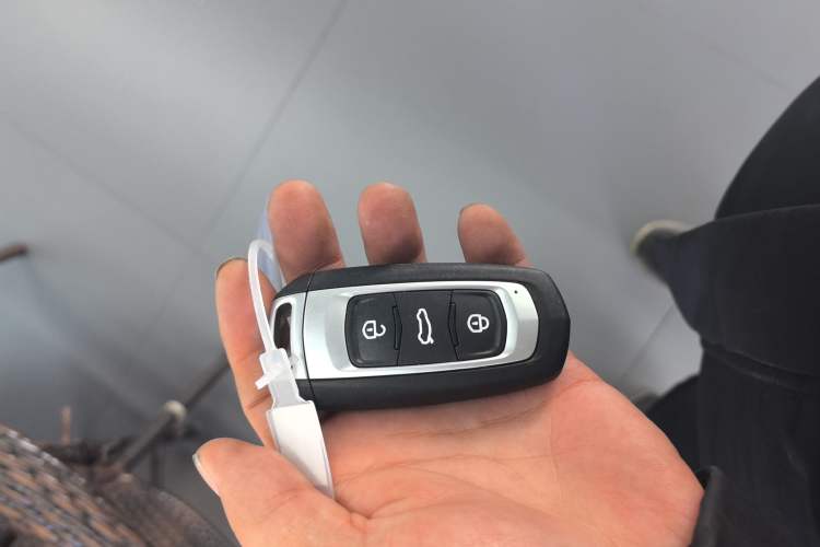 Used  Panda 2025 210km Panda Kart