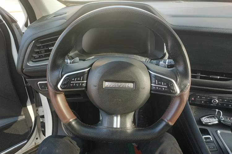 Used Haval F7 2019 2.0T Four-Wheel Drive iJoy China V Standard
