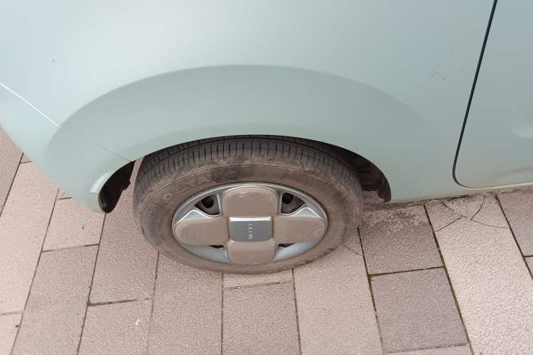 Used  Panda 2023 Panda Mini 200km Endurance Bear
