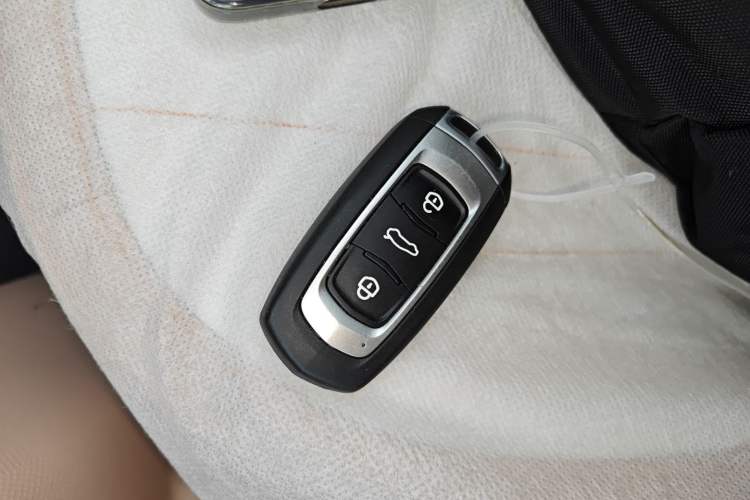 Used  Panda 2024 Panda Mini 200km Endurance Bear
