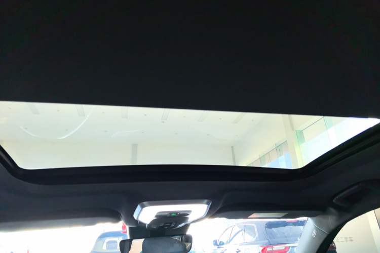 Used Hongqi H9 2024 2.0T Qixiang Private Style Edition
