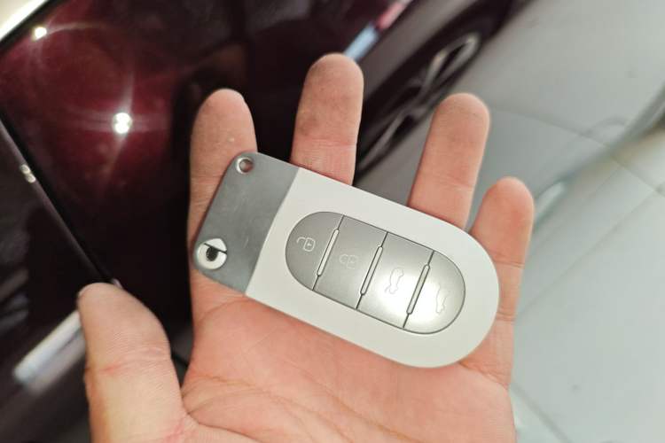 Used  #5 2024 Ultra-Long Range Extraordinary Journey Luxury Edition