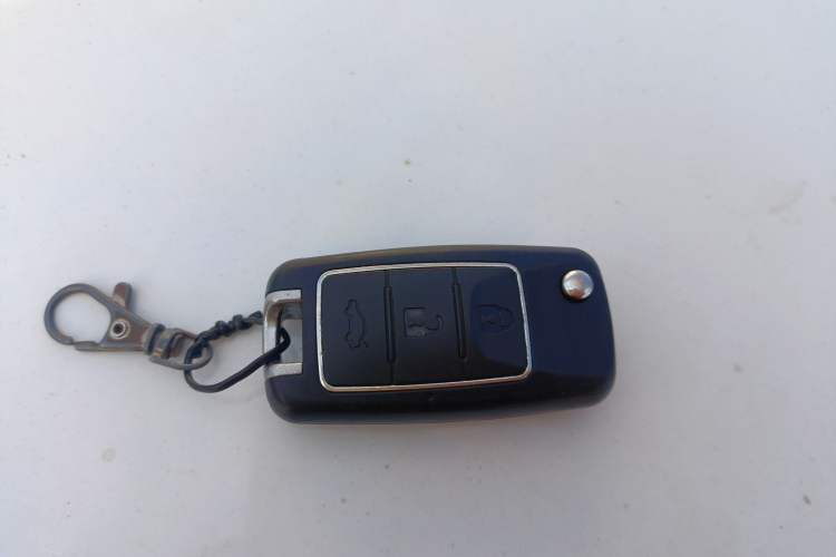 Used FORTHING S50 2021 Luxury Model
