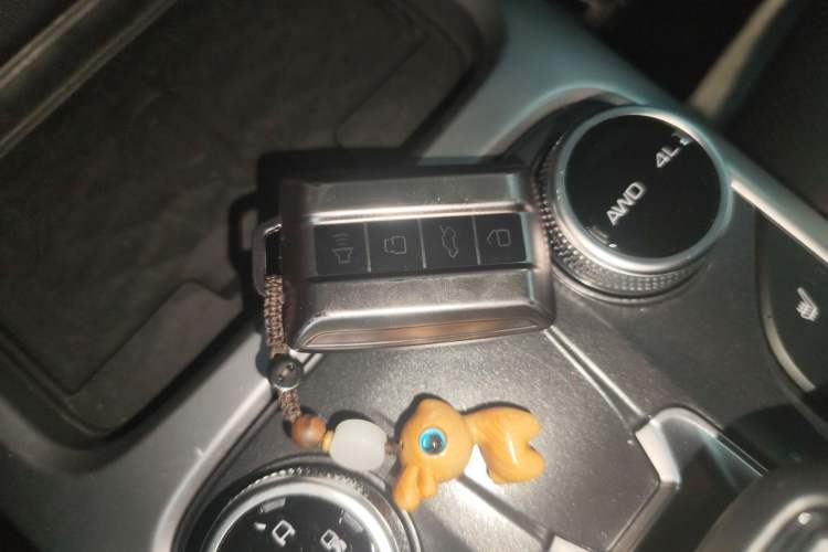 Used Tank 300 2023 City Edition 2.0T—Stylish as Ever
