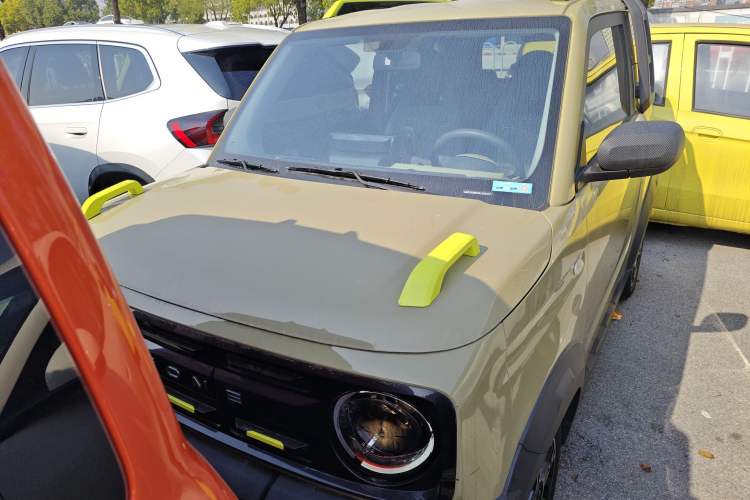 Used  Panda 2024 200km Panda Rider