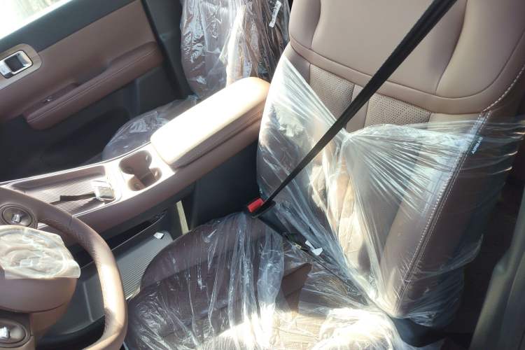 Used Wuling Xingguang S 2024 510 km Flagship Version
