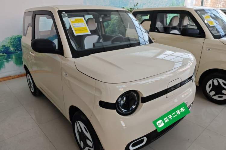 Used  Panda 2025 210 km – Yuanqi Bear

