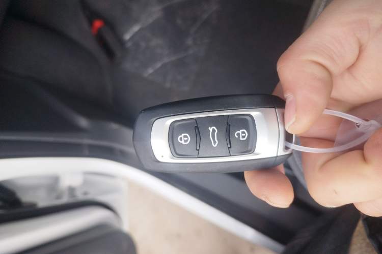 Used  Panda 2024 Panda Mini 200km Endurance Bear
