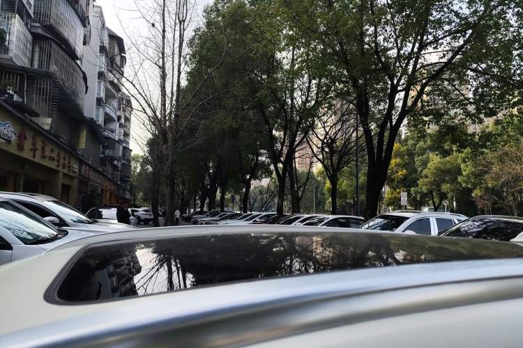 Used Wey Latte DHT 2022 1.5T DHT Extra-Large Cup
