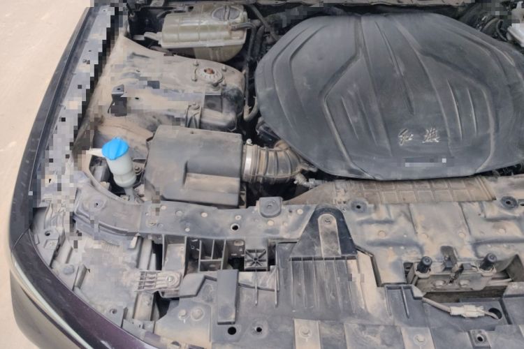 Used Hongqi H9 2020 2.0T Smart Connect Flagship Edition
