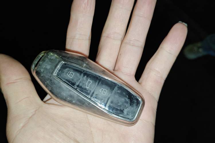 Used  03 2024 472km Four-Wheel Drive Long-Range Intelligent Advanced Version
