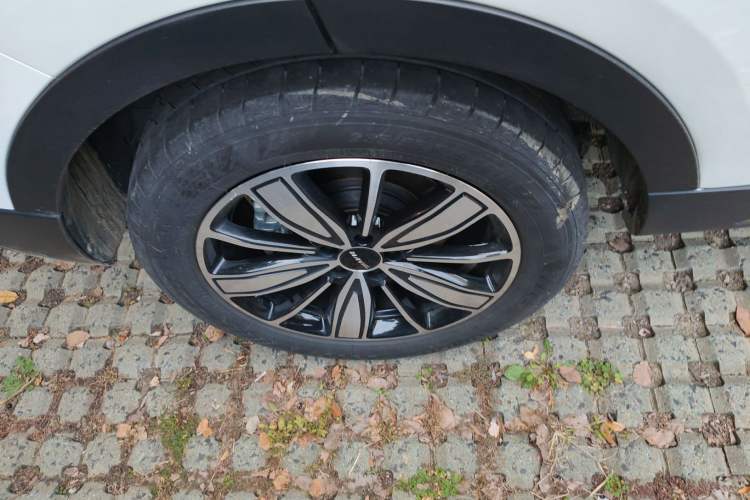 Used Haval H6 2021 National Trend Edition 1.5T Automatic Champion Version