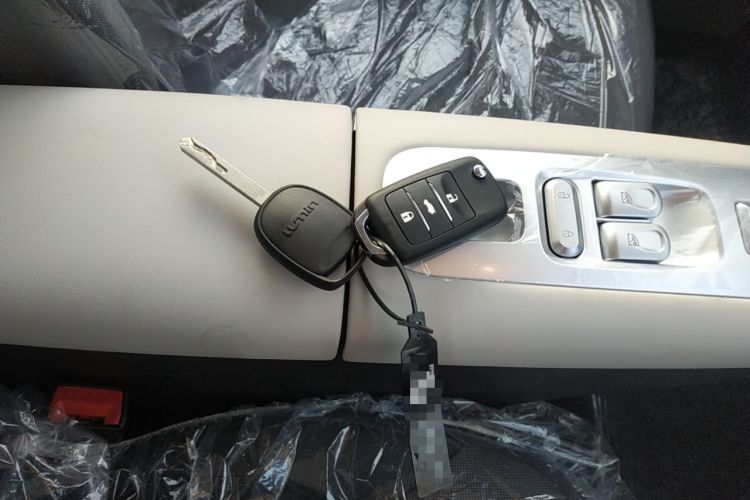 Used  Lumin 2025 205 km Xiangqin Version
