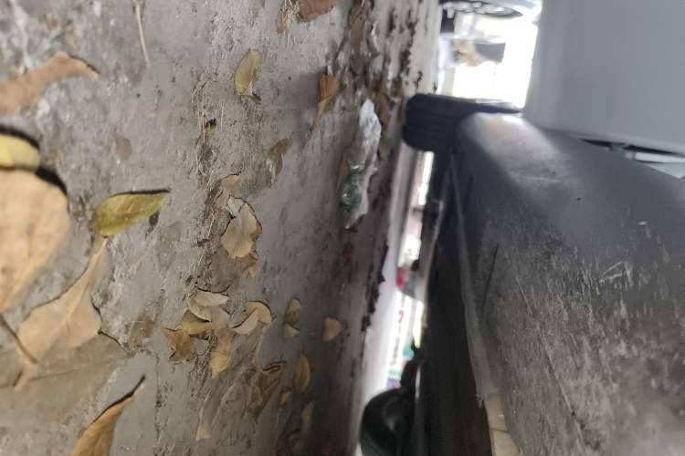 Used Ford Focus 2015 Sedan 1.6L Manual Comfort Model