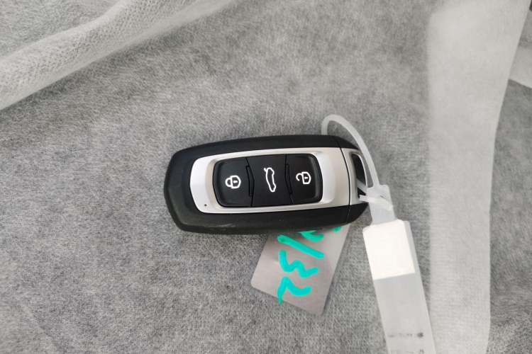 Used  Panda 2024 Panda Mini 200km Endurance Bear
