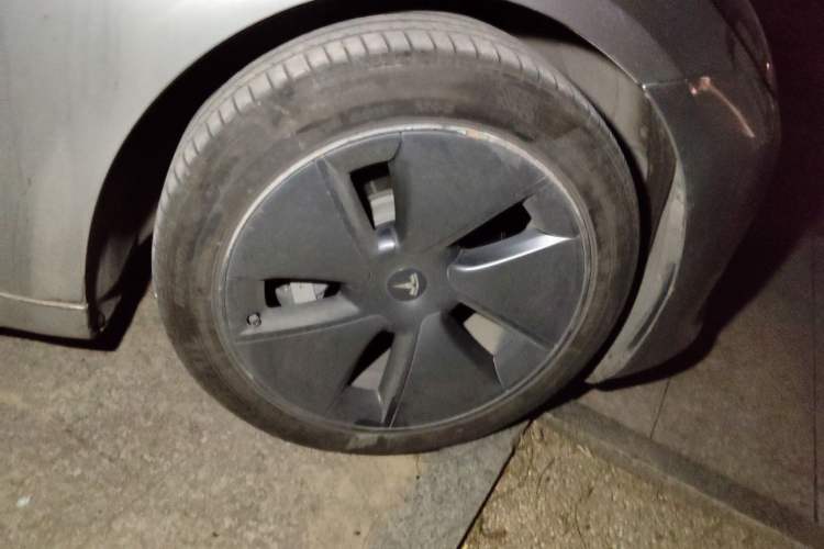 Used Tesla Model 3 2021 Revised Version Standard Range Rear-Wheel Drive Upgraded Edition 3D1
