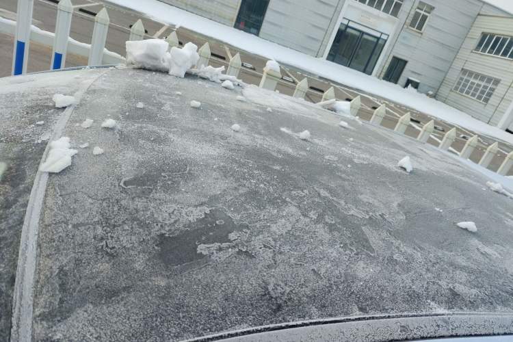 Used Nissan Qashqai 2025 Honor 2.0L CVT XV+ Leading Edition
