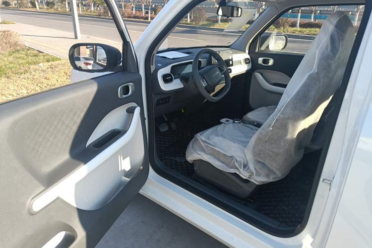 Used  Panda 2025 210 km – Yuanqi Bear