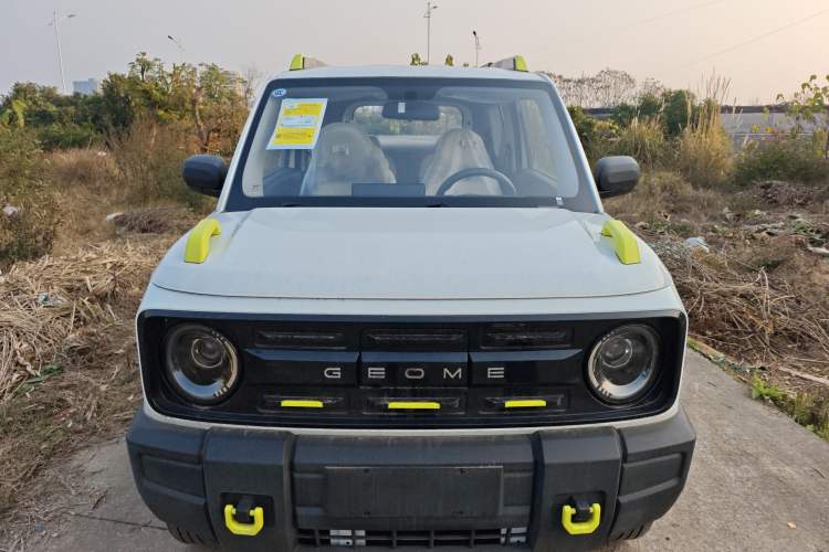 Used  Panda 2025 210km Panda Rider
