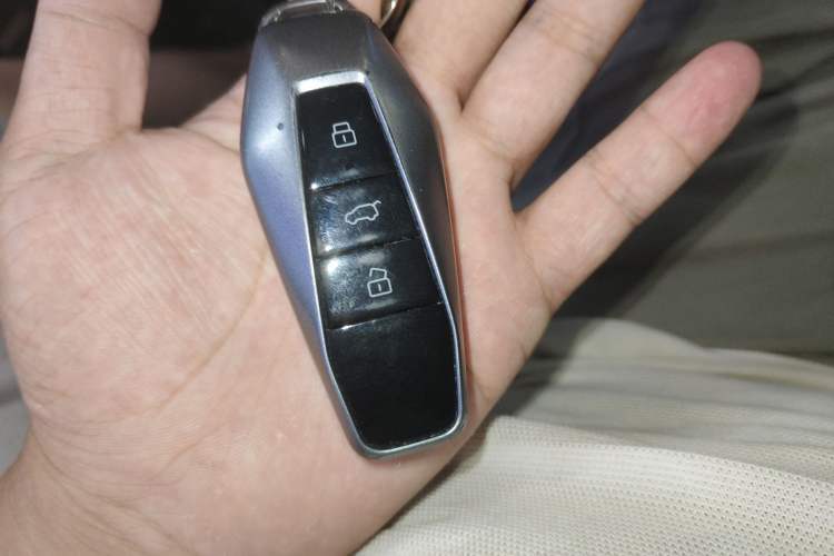 Used  03 2024 501km Two-Wheel Drive Long-Range Version
