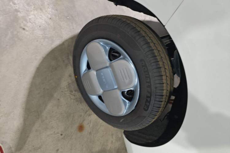 Used  Panda 2024 Panda Mini 200km Endurance Bear
