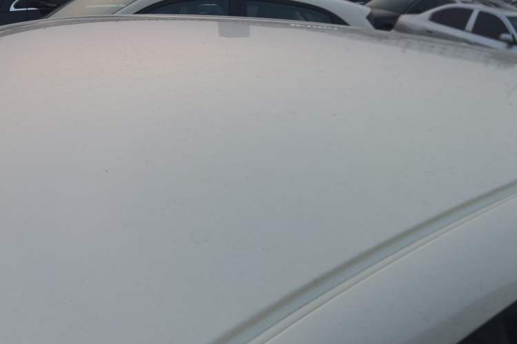 Used  Geome 2025 310km Dream Edition
