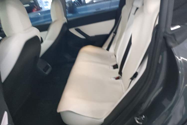 Used Tesla Model 3 2020 Revised Version Standard Range Rear-Wheel Drive – Upgraded Edition
