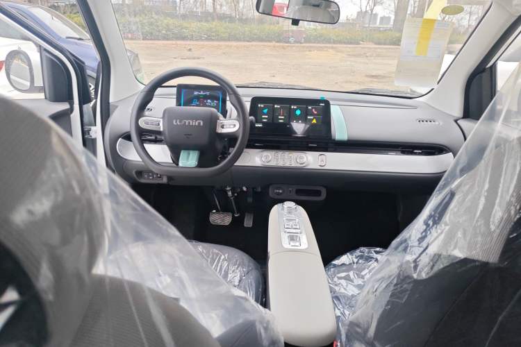 Used  Lumin 2025 205 km Xiangqin Version