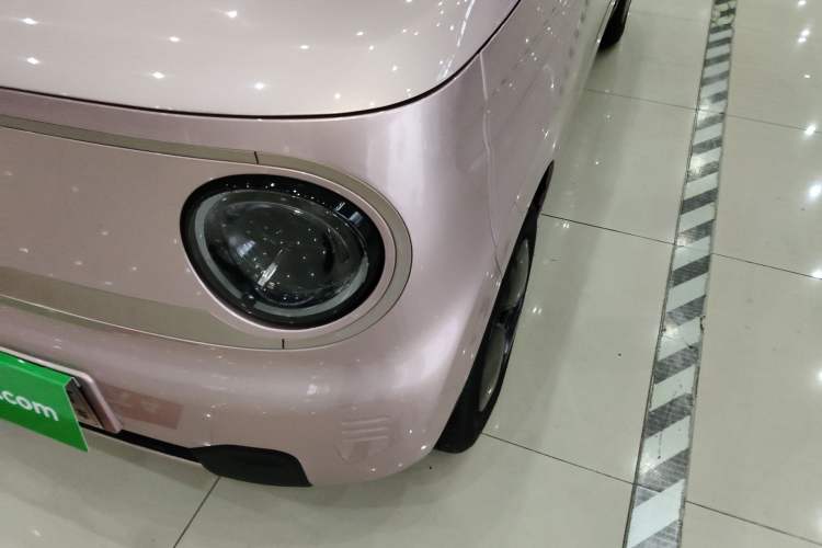 Used  Panda 2023 Panda Mini 200km Endurance Bear
