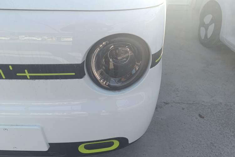 Used  Panda 2025 210 km – Yuanqi Bear
