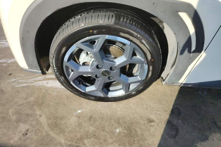 Used BYD Seagull 2025 305 km Free Version
