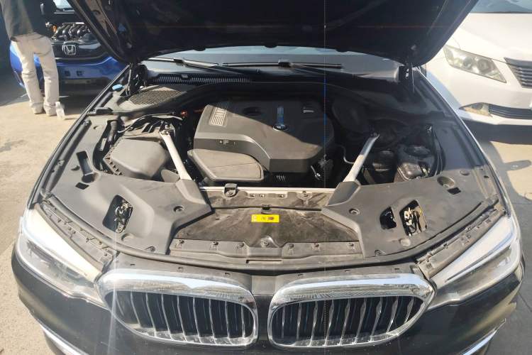 Used BMW 5 Series New Energy 2019 530Le Luxury Package
