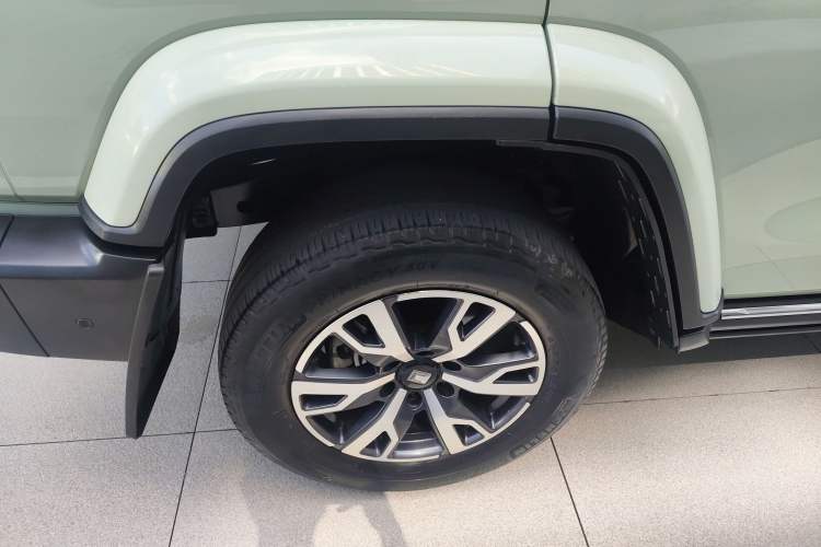 Used Tank 300 2021 City Edition 2.0T Essential Model