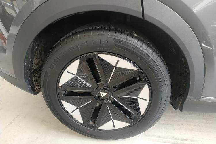 Used  S07 2023 200Max Range-Extended Version
