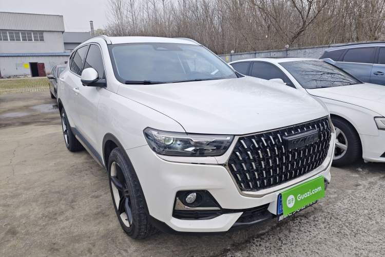Used Haval H6 2023 National Trend Edition 1.5T Automatic Champion Version
