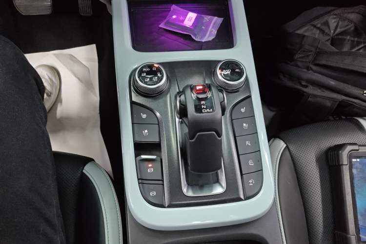 Used Tank 300 2021 City Edition 2.0T—Truly Stylish
