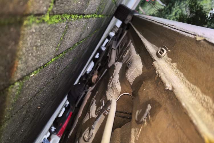 Used Skoda Rapid 2016 1.6L Automatic Front-Wheel Drive Model
