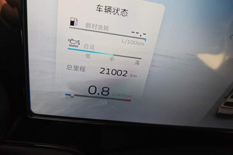 Used Geely Auto Monjaro L 2021 2.0TD DCT EVO Two-Wheel Drive Prestige Version
