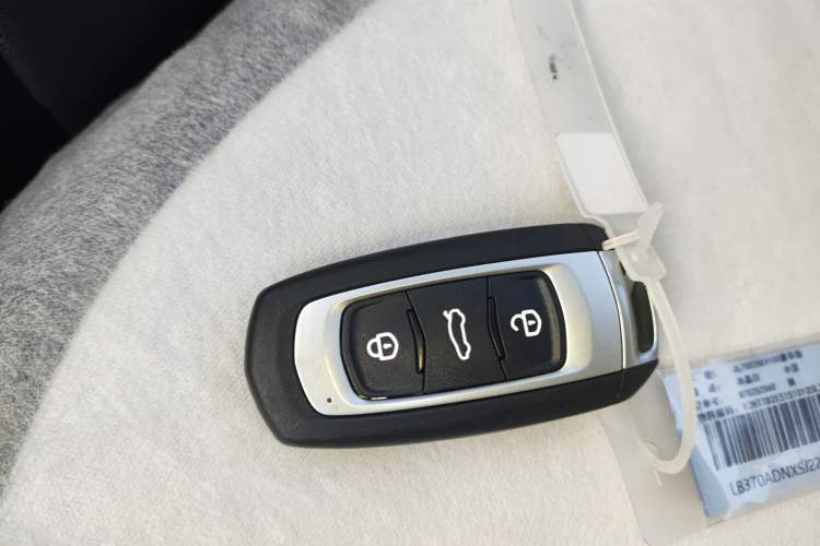 Used  Panda 2025 210 km – Yuanqi Bear
